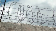 Ещё две женщины забеременели в колонии, в которой была изнасилована Слекишина