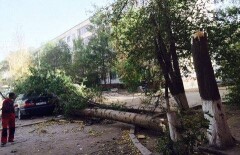 Ураган в Актобе сломал деревья и сорвал крыши с домов