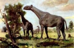 Индрик-зверь. Казахстанский соперник тираннозавра