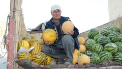 Ярмарки Павлодарской и Жамбылской областей проходят в Астане