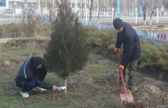 Убийство волчат виновные "отработали" в Жамбылской области 