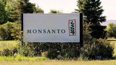 В США фермер отсудил 80 млн долларов у производителя гербицидов