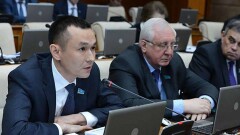 Мажилисмен: Приватизация не повышает конкуренцию и не приносит ощутимых доходов
