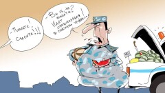 Спецоперация "Спасти урожай бахчевых"