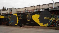 Граффити о тайнах человеческого мозга подарила Новосибирску художница из СКО