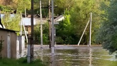 Предварительный ущерб сельхозпроизводителей в Туркестанской области оценили в 4 млрд тенге
