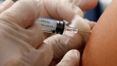 Вид сальмонеллы, который устойчив ко всем медпрепаратам, обнаружили в Африке