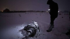 Опознание жертв авиакатастрофы Ан-148 может занять несколько месяцев