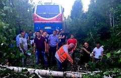 Локомотивная бригада предотвратила крушение пассажирского поезда
