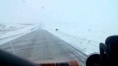 Полицейские Актобе застрелили разбойника на трассе