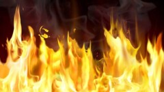 Пожары унесли жизни 96 человек в Греции