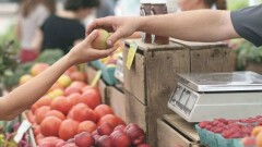 Қазақстанда көкөністер қыс айларында да арзан бағамен сатылатын болады. Жаңалықтарға шолу 