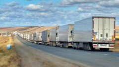 В России уничтожили полторы тонны овощей и фруктов, ввезённых из Казахстана