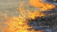 В ВКО во время степного пожара сгорел автомобиль с водителем