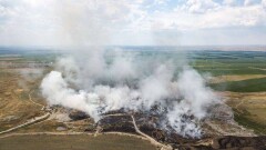 Смрад, крысы и антисанитария. Как живут люди по соседству с мусорной свалкой под Алматы
