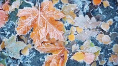 Прогноз погоды на 25 сентября: на севере Казахстана температура воздуха опустится до нуля градусов