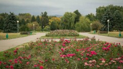В Ботаническом саду Алматы восстановят ирригационную систему и оборудуют площадки для отдыха
