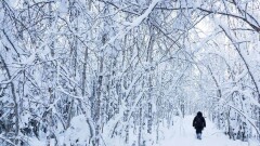 Прогноз погоды на 3 марта: осадки ожидаются на всей территории страны