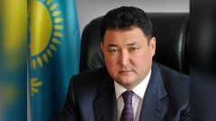 Пахать днём и ночью ради голландских помидоров поручил аким Павлодарской области