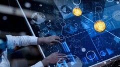 В странах Азии на 50% вырос спрос на специалистов в области блокчейна и криптовалют 