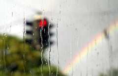 В ближайшие выходные Казахстан ждут дожди и грозы 