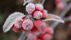 Синоптики прогнозируют туман на большей части республики 18 февраля