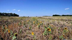 Климаттың өзгерісінен кімдер ең көп зардап шегеді? Қазақстанда қуаңшылық бола ма?