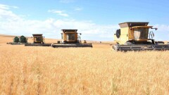 Евразийский банк развития не намерен прощать долг холдингу "Иволга"