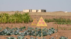 Радиация в ВКО будет вызывать заболевания ещё у нескольких поколений - учёные