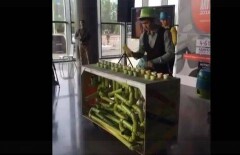"Оркестр сантехников" сыграл на Astana Art Fest 2016