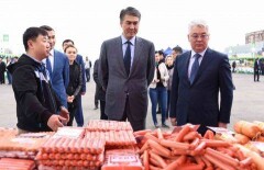 Исекешев сходил в Астане на ярмарку 