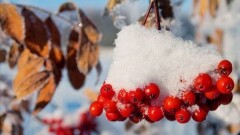 Погода без осадков ожидается на большей части Казахстана 4 декабря