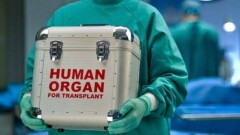 Казахстанские медики просят узаконить детское донорство органов