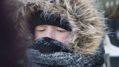 В Астане из-за сильного ветра отменили занятия в начальных классах