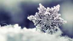  Туман, гололёд и метель обещают синоптики 17 ноября