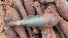 Жительница Новгородской области обнаружила немецкий склад боеприпасов времён ВОВ