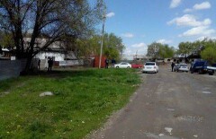 Трёхлетнюю девочку насмерть загрызли собаки в Алматы