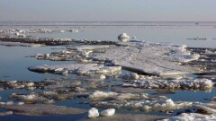 В Павлодарской области начался ледоход: в 11 населённых пунктах есть риск подтопления