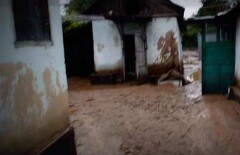 В акимате Талгарского района утверждают, что дома паводком не топило
