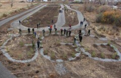 В Павлодарской области фанаты Головкина высадили деревья в виде логотипа GGG
