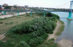 Спасение реки Урал в Атырауской области остановили из-за уголовных дел против "бергеевской команды"