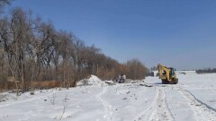 Заказчик строительства ТРЦ в Алматы не считает деревьями 11 тысяч вырубленных насаждений