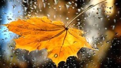 Синоптики рассказали, какой будет погода в среду, 13 сентября