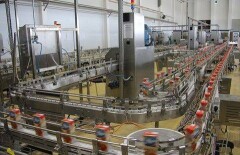 Более 50 предприятий выдавали импорт за отечественную продукцию