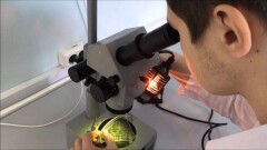 Что будет с судебной экспертизой после внедрения международного стандарта