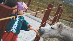 Больше чем казы и транспорт. Как лошади помогают детям преодолеть аутизм и ДЦП