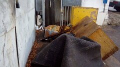 Герб Казахстана нашли в мусоре на центральном стадионе Павлодара