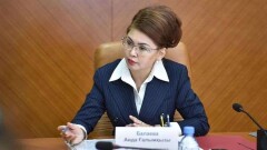 Аида Балаева: Предложения журналистов о доступе к информации должны быть прописаны в новом законе