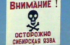 Тело якобы умершего от сибирской язвы житикаринца может быть эксгумировано