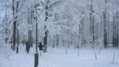 Прогноз погоды на 9 февраля: сильные морозы на севере идут на спад